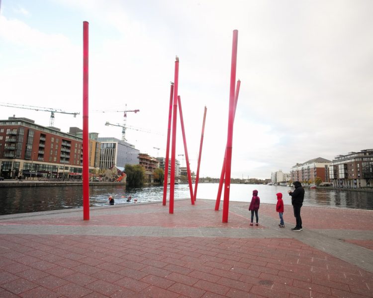 Grand Canal Dock (3)