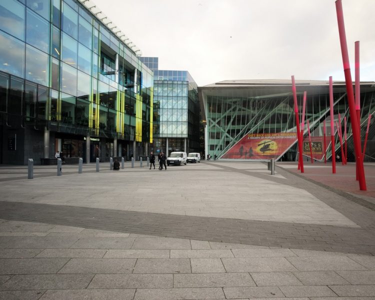 Grand Canal Dock (6)